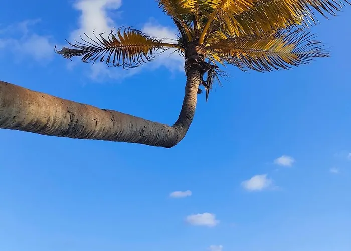 Tropical Escape In A Cozy Paam Cheel * Tulum